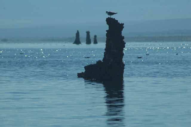 Mono Lake